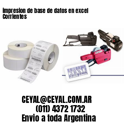 impresion de base de datos en excel Corrientes