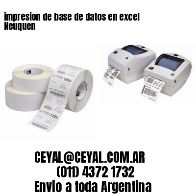 impresion de base de datos en excel Neuquen