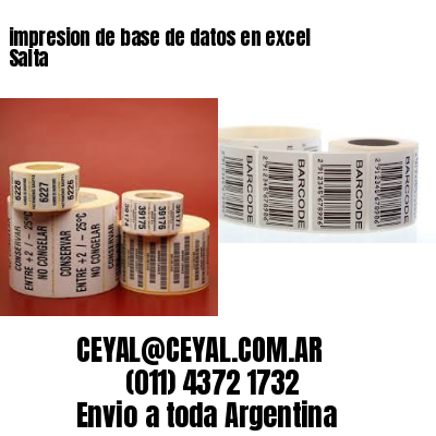 impresion de base de datos en excel Salta
