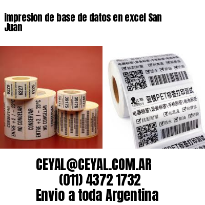 impresion de base de datos en excel San Juan