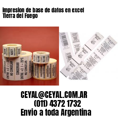 impresion de base de datos en excel Tierra del Fuego