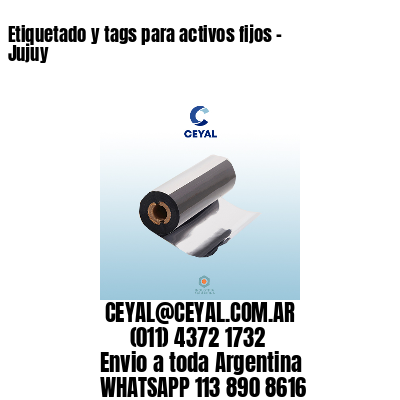 Etiquetado y tags para activos fijos – Jujuy