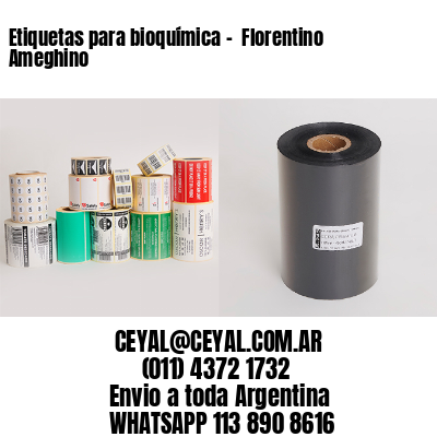 Etiquetas para bioquímica –  Florentino Ameghino