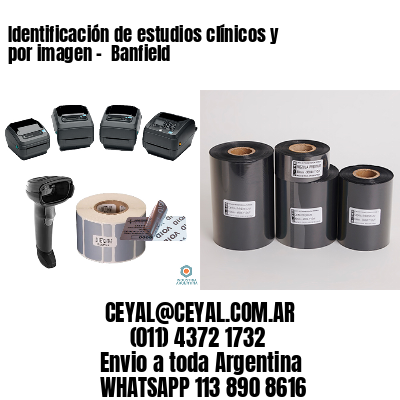 Identificación de estudios clínicos y por imagen –  Banfield
