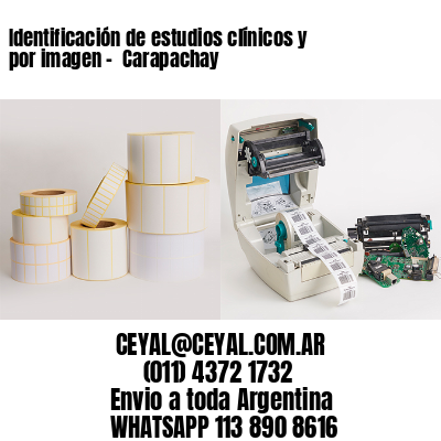 Identificación de estudios clínicos y por imagen –  Carapachay