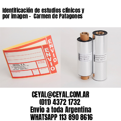 Identificación de estudios clínicos y por imagen –  Carmen de Patagones