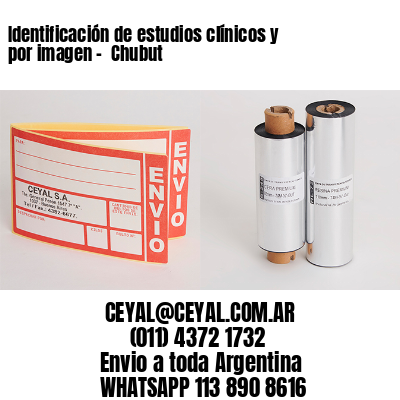 Identificación de estudios clínicos y por imagen –  Chubut