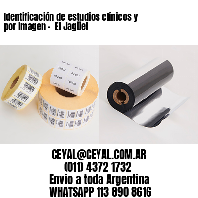Identificación de estudios clínicos y por imagen –  El Jagüel