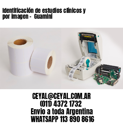 Identificación de estudios clínicos y por imagen –  Guaminí
