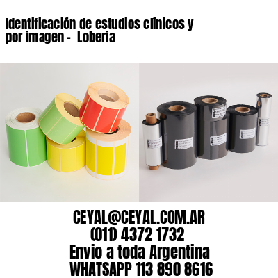 Identificación de estudios clínicos y por imagen –  Loberia