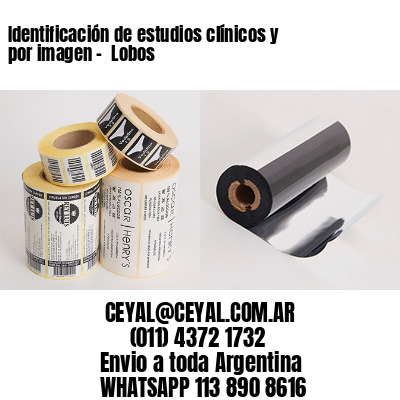 Identificación de estudios clínicos y por imagen –  Lobos
