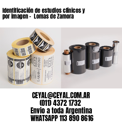 Identificación de estudios clínicos y por imagen –  Lomas de Zamora