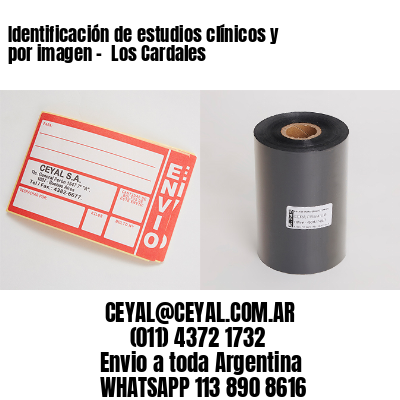 Identificación de estudios clínicos y por imagen –  Los Cardales