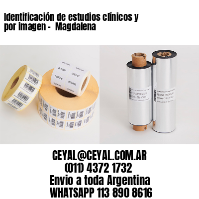 Identificación de estudios clínicos y por imagen –  Magdalena