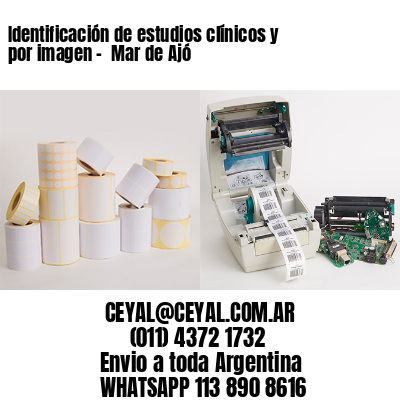 Identificación de estudios clínicos y por imagen –  Mar de Ajó