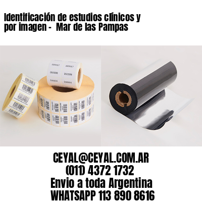 Identificación de estudios clínicos y por imagen –  Mar de las Pampas