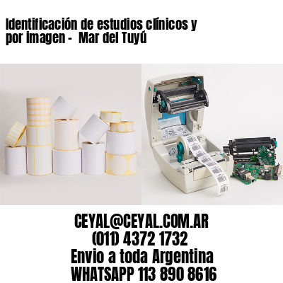 Identificación de estudios clínicos y por imagen –  Mar del Tuyú
