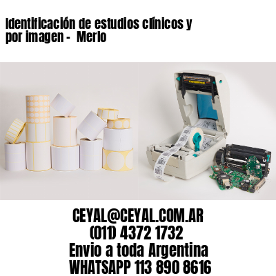 Identificación de estudios clínicos y por imagen –  Merlo