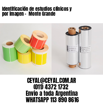 Identificación de estudios clínicos y por imagen –  Monte Grande