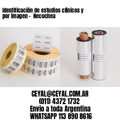 Identificación de estudios clínicos y por imagen –  Necochea