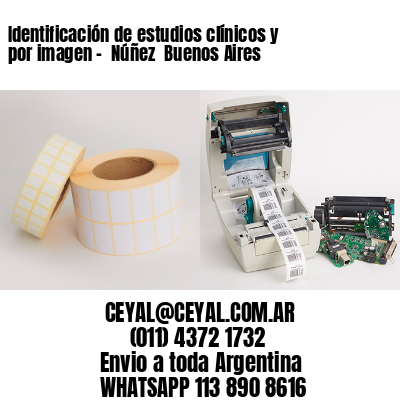 Identificación de estudios clínicos y por imagen –  Núñez  Buenos Aires