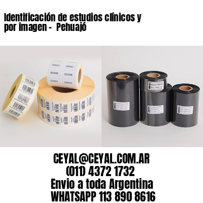 Identificación de estudios clínicos y por imagen –  Pehuajó