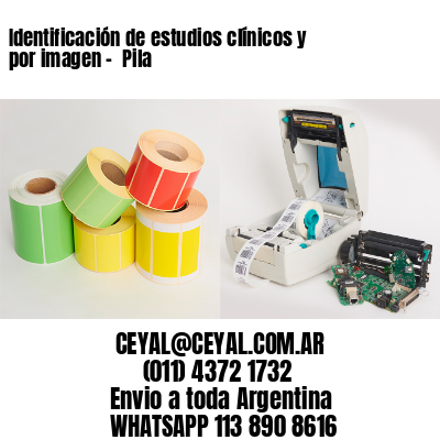 Identificación de estudios clínicos y por imagen –  Pila