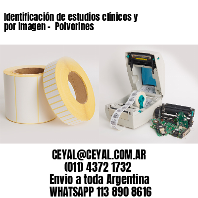 Identificación de estudios clínicos y por imagen –  Polvorines