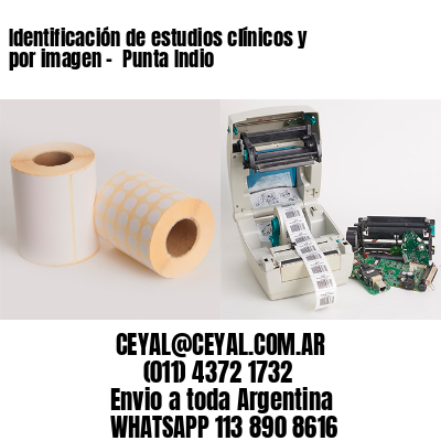 Identificación de estudios clínicos y por imagen –  Punta Indio