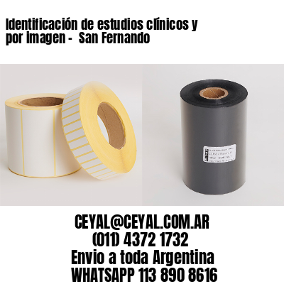 Identificación de estudios clínicos y por imagen –  San Fernando