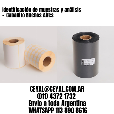 Identificación de muestras y análisis –  Caballito Buenos Aires
