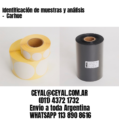 Identificación de muestras y análisis –  Carhue