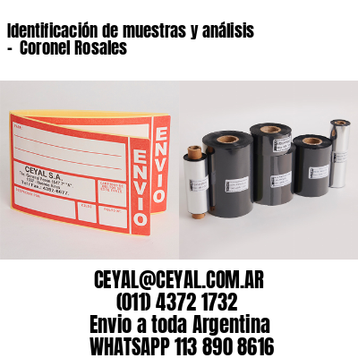 Identificación de muestras y análisis –  Coronel Rosales