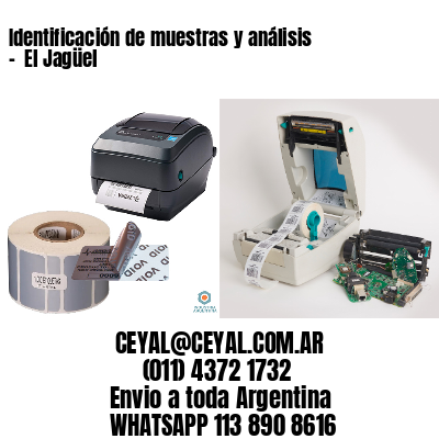 Identificación de muestras y análisis –  El Jagüel
