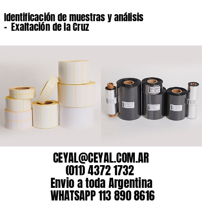 Identificación de muestras y análisis –  Exaltación de la Cruz