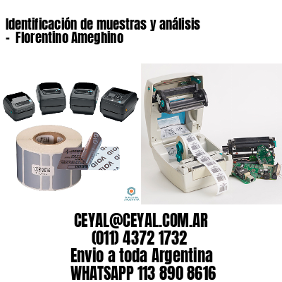 Identificación de muestras y análisis –  Florentino Ameghino