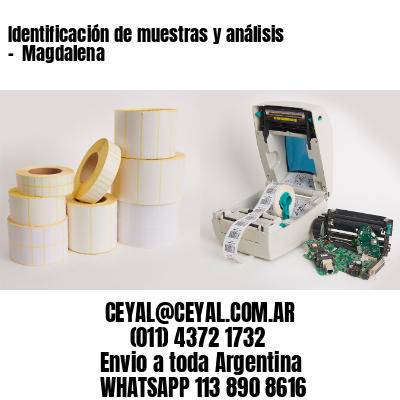 Identificación de muestras y análisis –  Magdalena