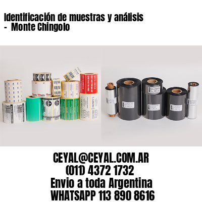 Identificación de muestras y análisis –  Monte Chingolo