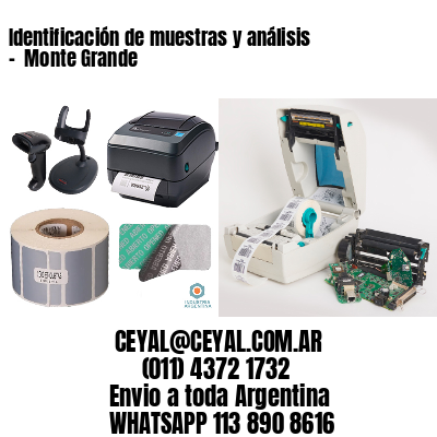 Identificación de muestras y análisis –  Monte Grande