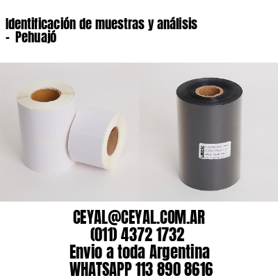 Identificación de muestras y análisis –  Pehuajó