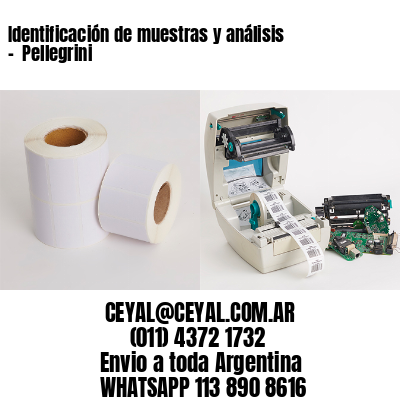Identificación de muestras y análisis –  Pellegrini