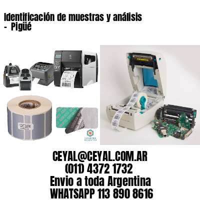 Identificación de muestras y análisis –  Pigüé