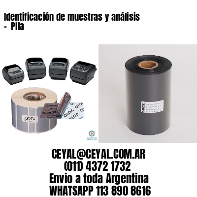 Identificación de muestras y análisis –  Pila