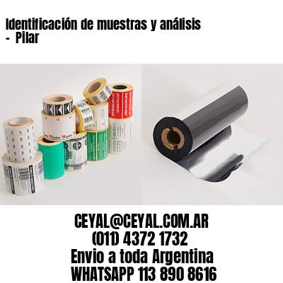 Identificación de muestras y análisis –  Pilar