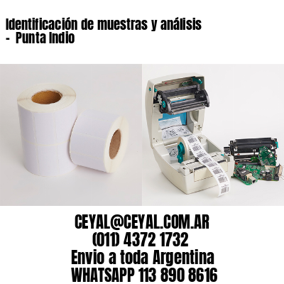 Identificación de muestras y análisis –  Punta Indio