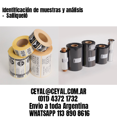Identificación de muestras y análisis –  Salliqueló