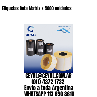 Etiquetas Data Matrix x 4000 unidades