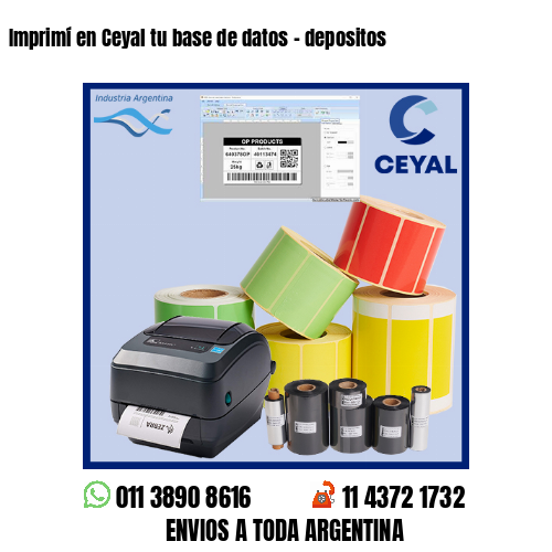 Imprimí en Ceyal tu base de datos – depositos