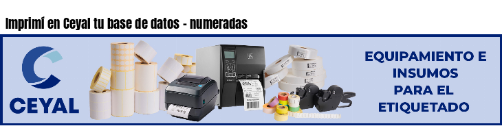 Imprimí en Ceyal tu base de datos - numeradas