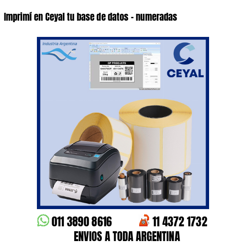 Imprimí en Ceyal tu base de datos – numeradas